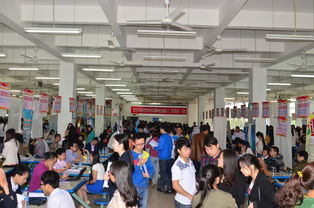 二一五届毕业生顶岗实习优质服务月大型双选会活动圆满成功